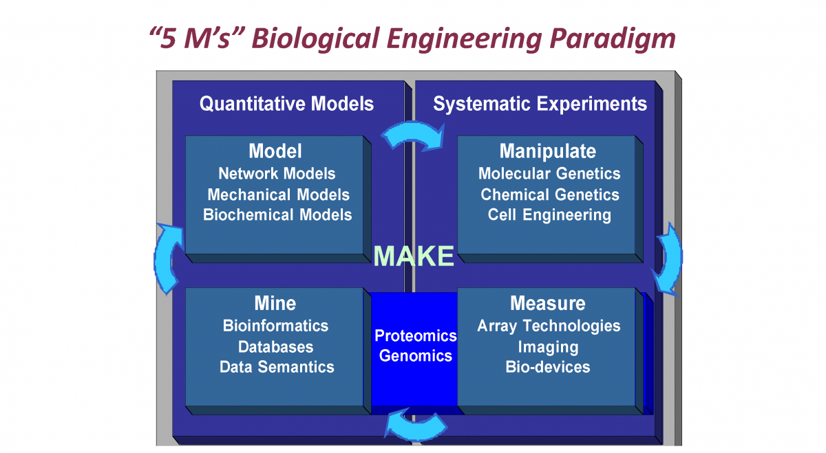 mit biological engineering phd requirements