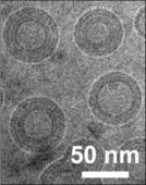 50 nanometer microscope image.